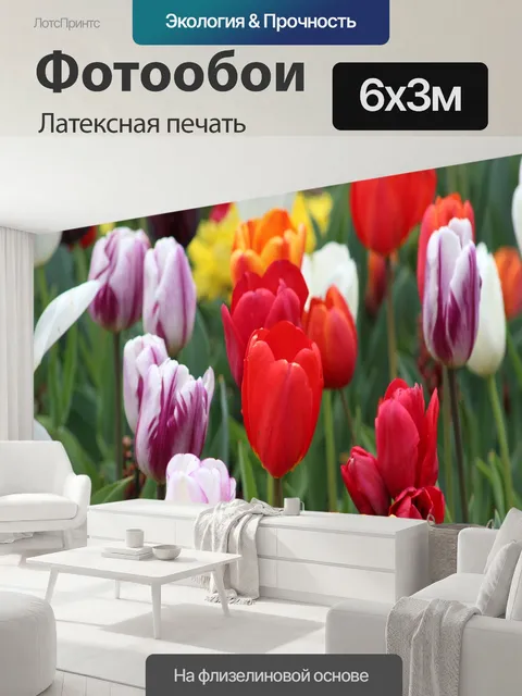 600 × 300 см · Латексная печать