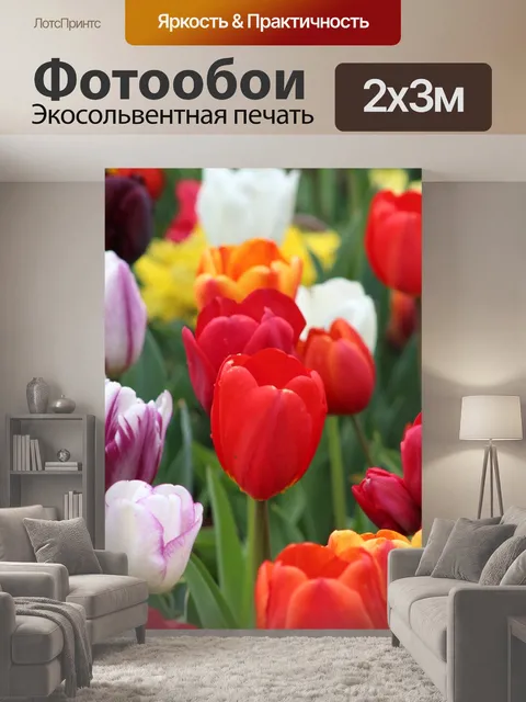200 × 300 см · Экосольвентная печать