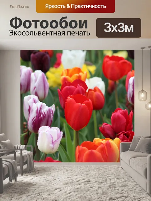 Фотообои Тюльпан, цветок, флора
