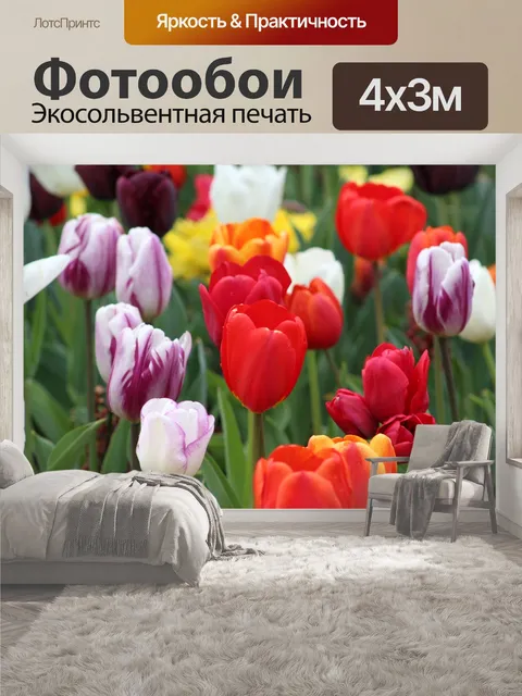 400 × 300 см · Экосольвентная печать