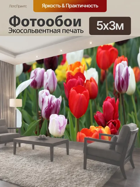 500 × 300 см · Экосольвентная печать
