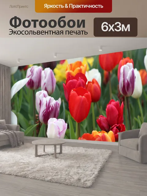 600 × 300 см · Экосольвентная печать