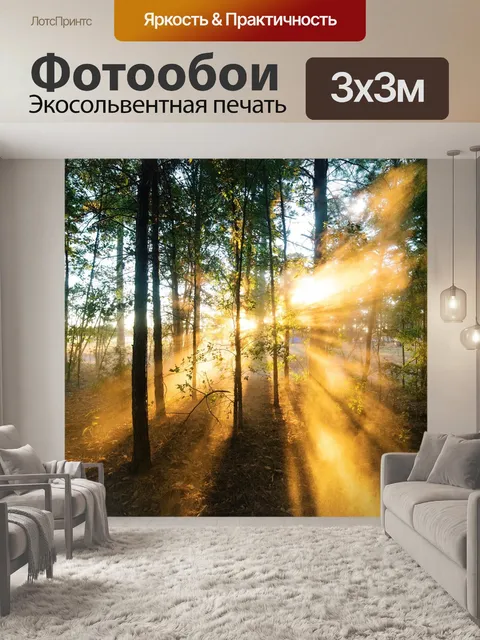 Фотообои Туман, лес, пейзаж
