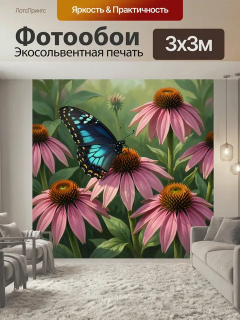 Фотообои Бабочка среди розовых эхинацей. Яркая тропическая бабочка с сине-черными крыльями парит над цветущими эхинаце…