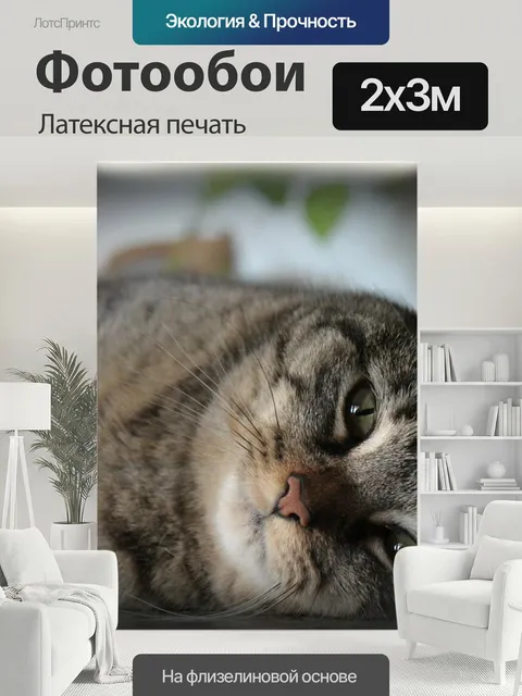 200 × 300 см · Латексная печать