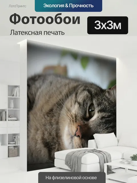 300 × 300 см · Латексная печать