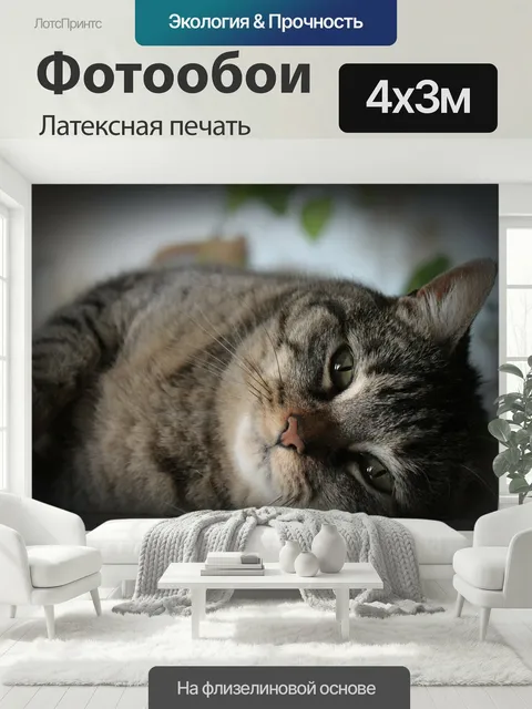 400 × 300 см · Латексная печать