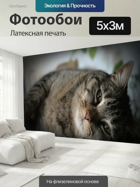 500 × 300 см · Латексная печать