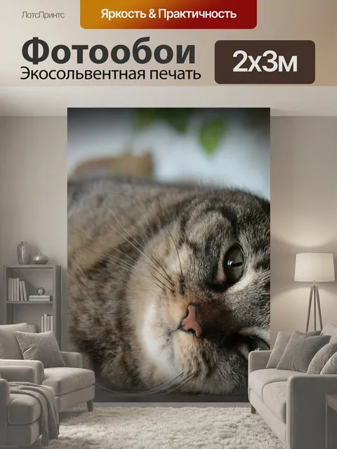 200 × 300 см · Экосольвентная печать