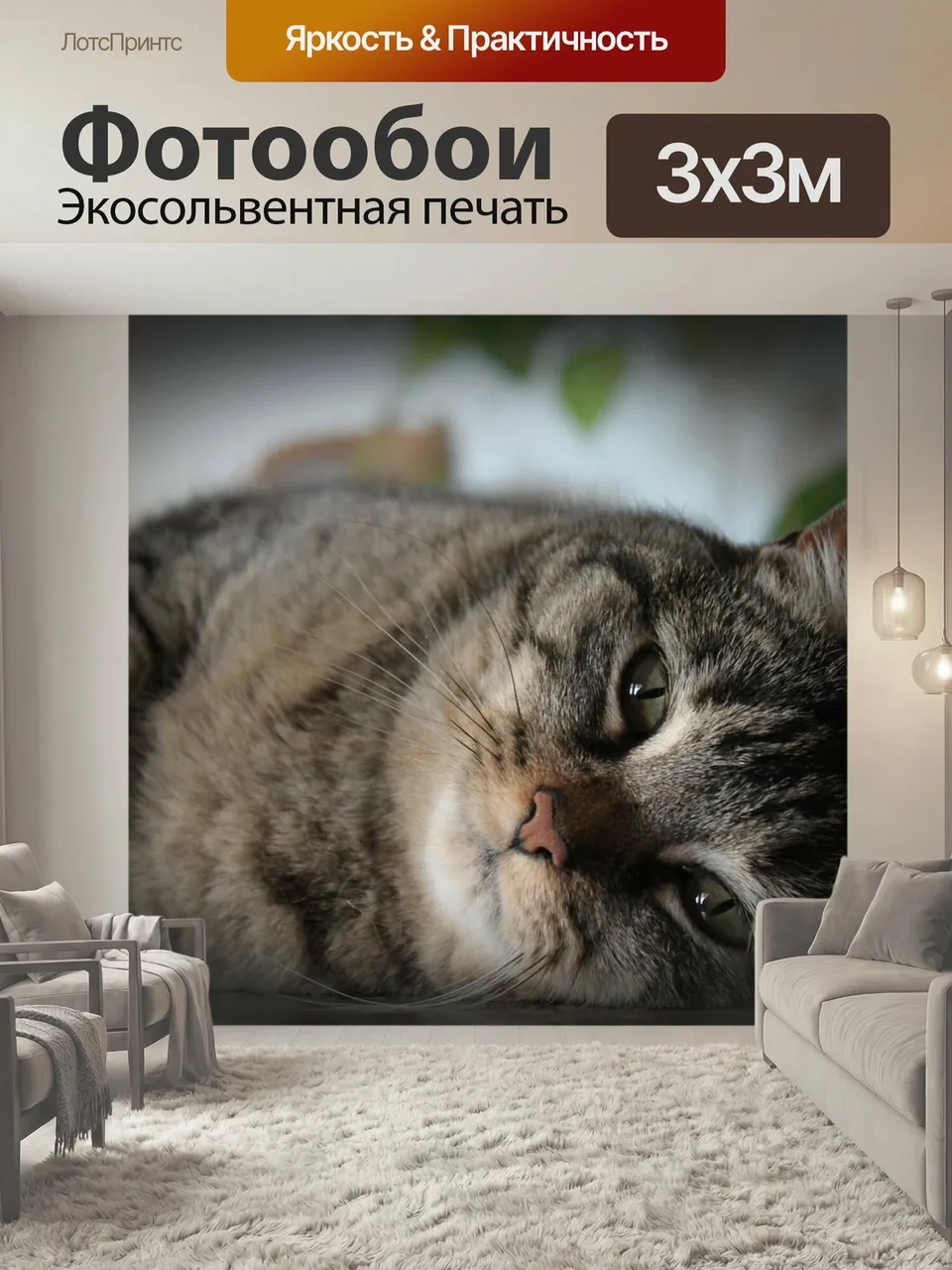 Фотообои Кот, талисман, животное
