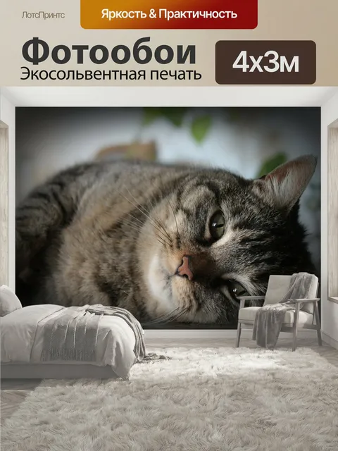 400 × 300 см · Экосольвентная печать