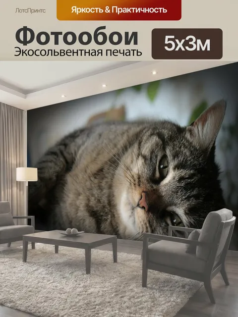 500 × 300 см · Экосольвентная печать