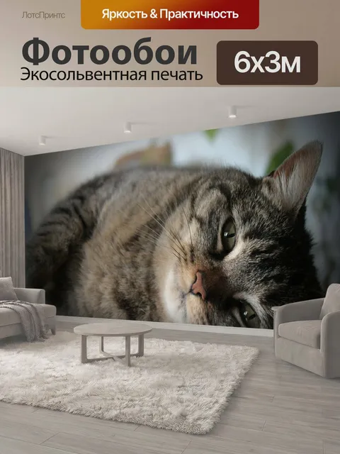 600 × 300 см · Экосольвентная печать