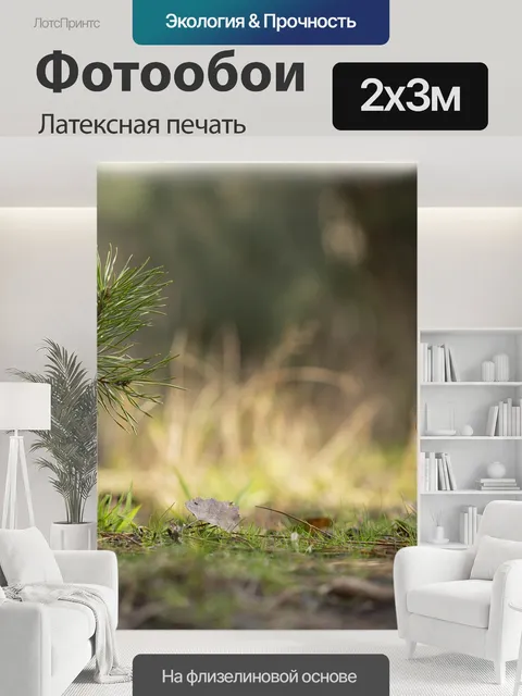 200 × 300 см · Латексная печать