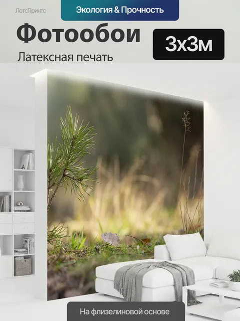 300 × 300 см · Латексная печать