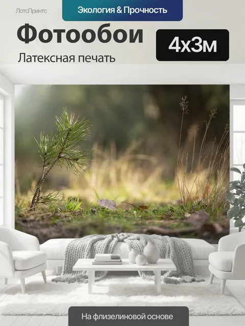 400 × 300 см · Латексная печать