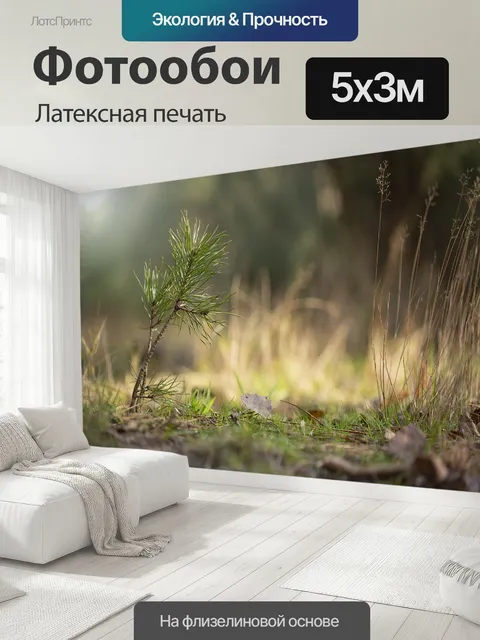 500 × 300 см · Латексная печать