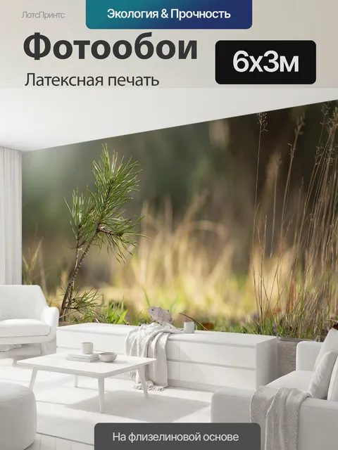 600 × 300 см · Латексная печать