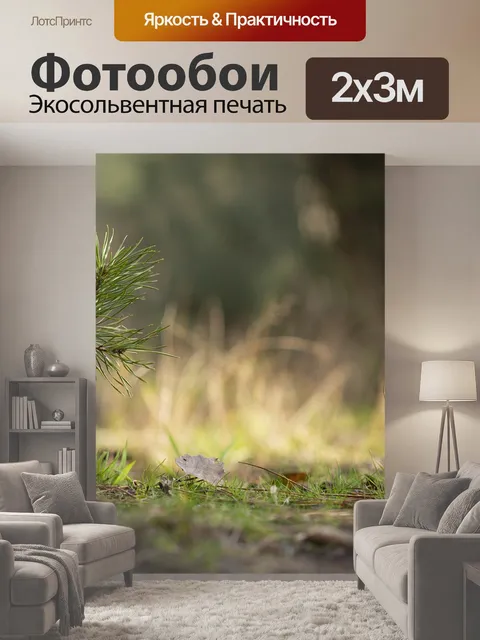 200 × 300 см · Экосольвентная печать