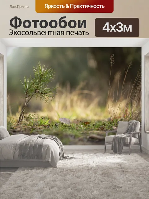 400 × 300 см · Экосольвентная печать