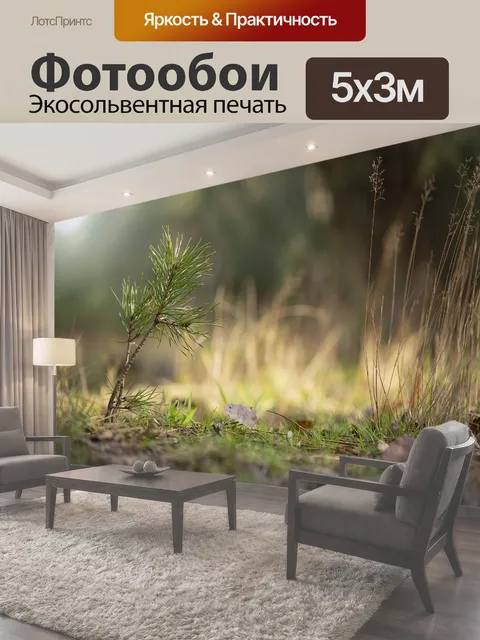 500 × 300 см · Экосольвентная печать