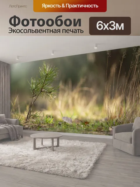 600 × 300 см · Экосольвентная печать