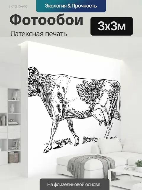 300 × 300 см · Латексная печать