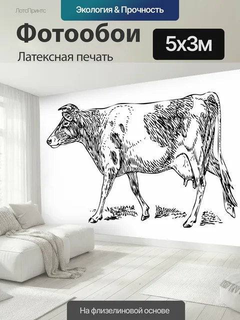 500 × 300 см · Латексная печать