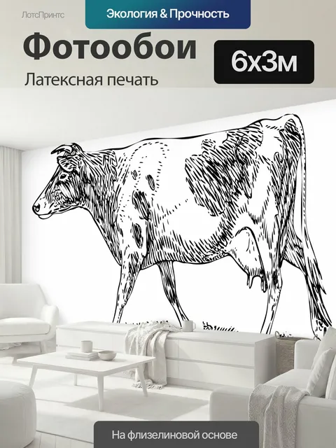 600 × 300 см · Латексная печать