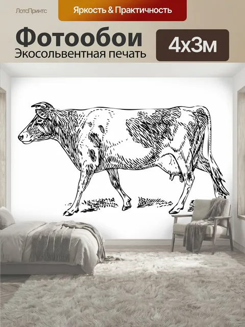 400 × 300 см · Экосольвентная печать
