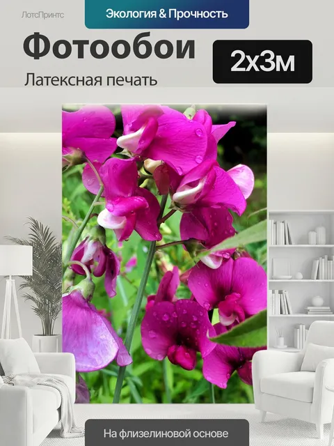 200 × 300 см · Латексная печать