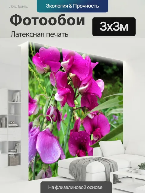 300 × 300 см · Латексная печать