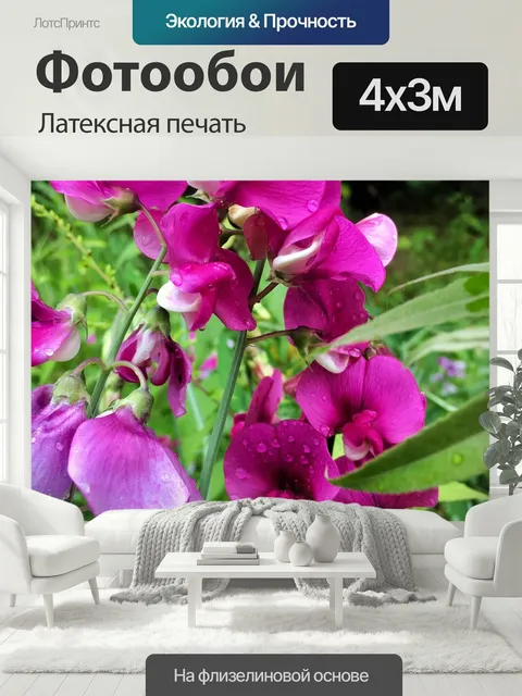 400 × 300 см · Латексная печать