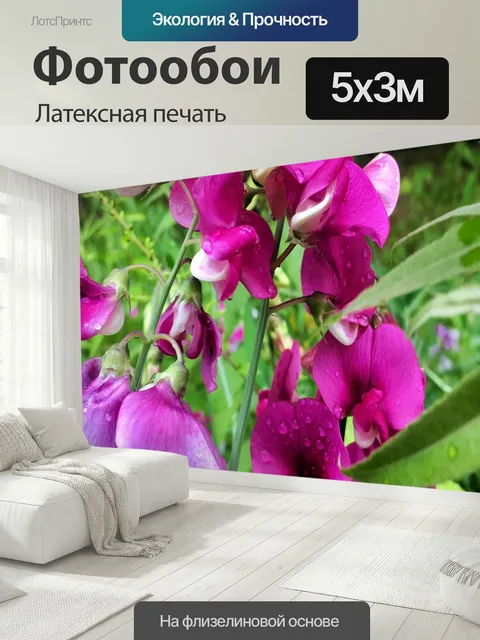 500 × 300 см · Латексная печать