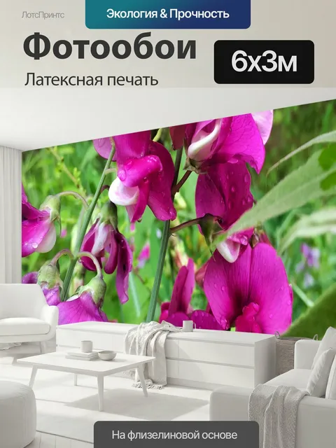 600 × 300 см · Латексная печать