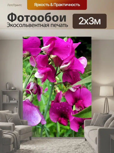 200 × 300 см · Экосольвентная печать