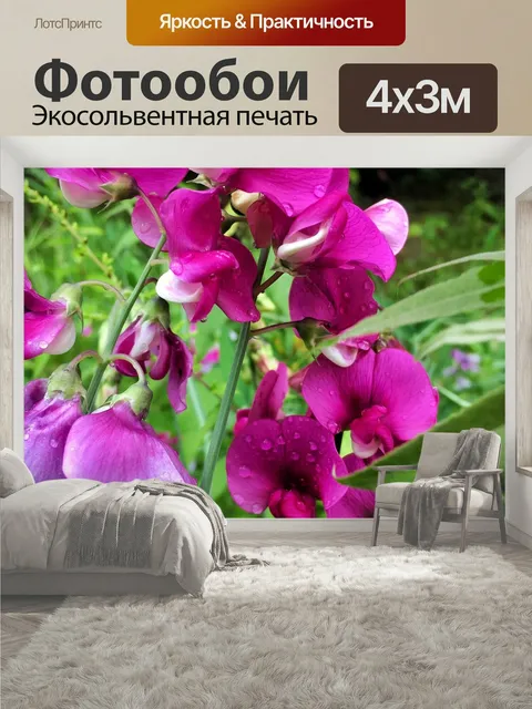 400 × 300 см · Экосольвентная печать