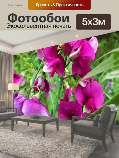 500 × 300 см · Экосольвентная печать