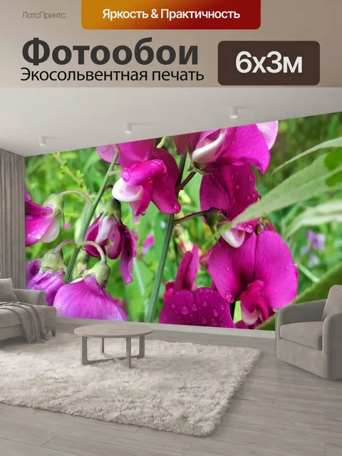 600 × 300 см · Экосольвентная печать