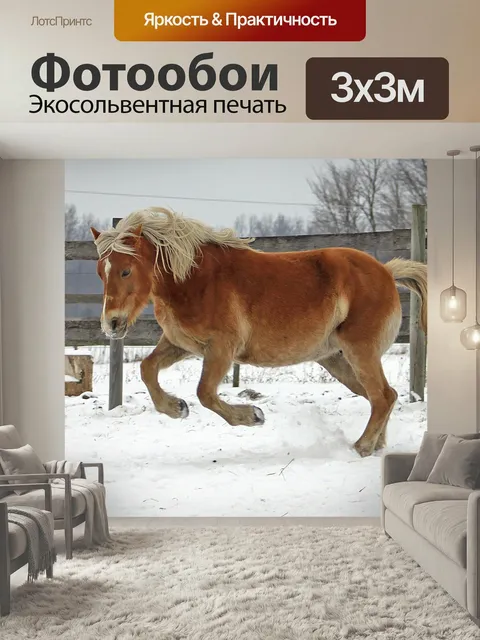 Фотообои Хафлингер, лошадь, пони