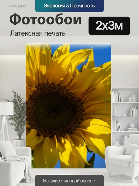 200 × 300 см · Латексная печать