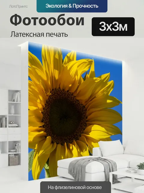 300 × 300 см · Латексная печать