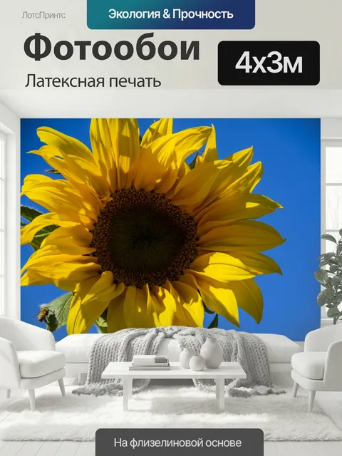 400 × 300 см · Латексная печать