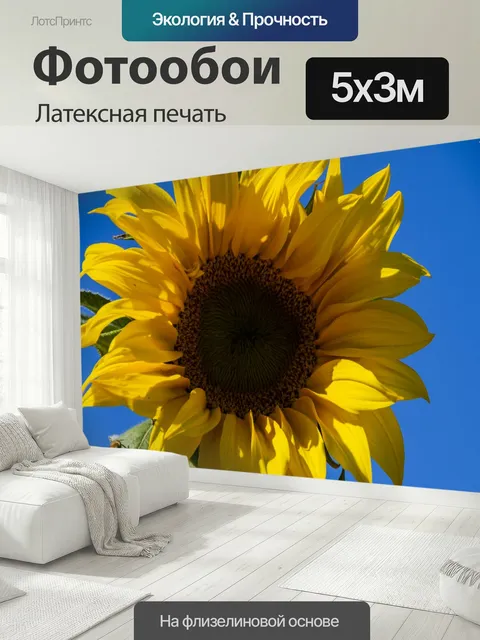 500 × 300 см · Латексная печать