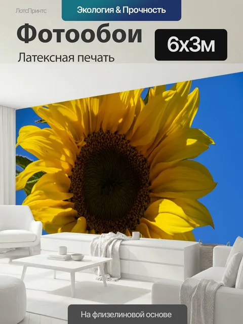 600 × 300 см · Латексная печать
