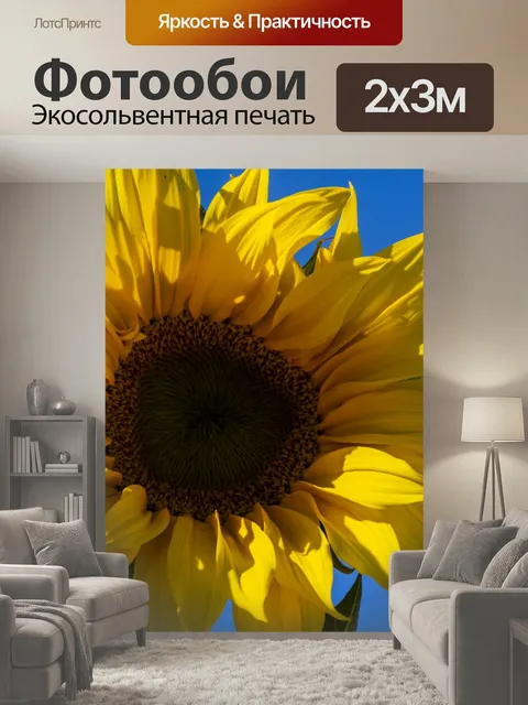 200 × 300 см · Экосольвентная печать