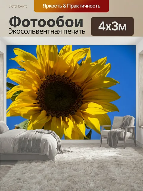 400 × 300 см · Экосольвентная печать