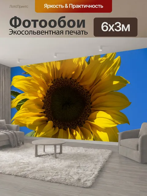 600 × 300 см · Экосольвентная печать