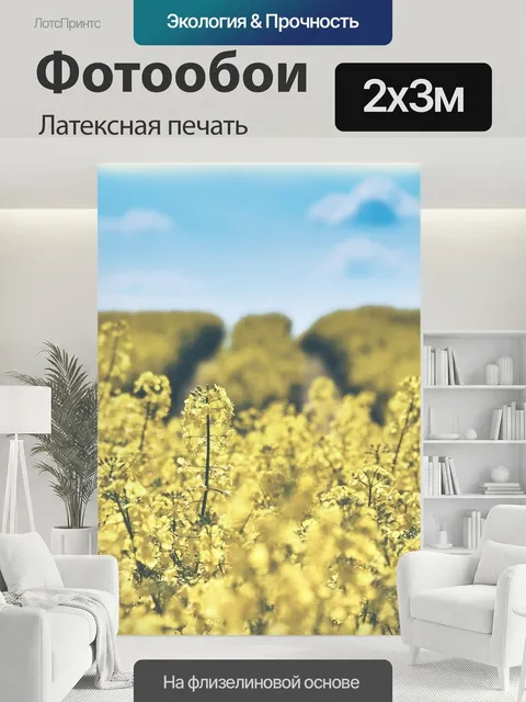 200 × 300 см · Латексная печать