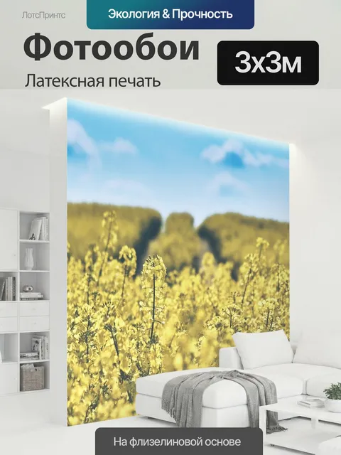 300 × 300 см · Латексная печать